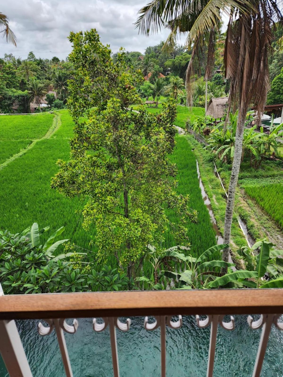 Motama Villa Убуд Экстерьер фото